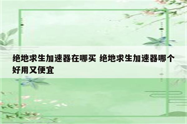 绝地求生加速器在哪买 绝地求生加速器哪个好用又便宜