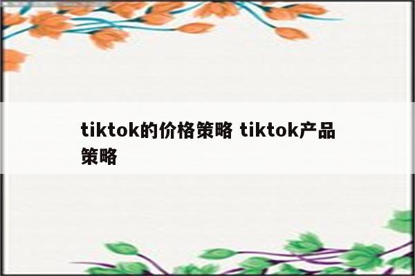 tiktok的价格策略 tiktok产品策略