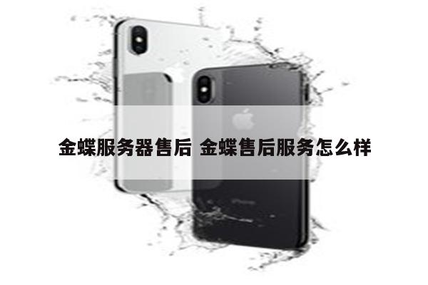 金蝶服务器售后 金蝶售后服务怎么样
