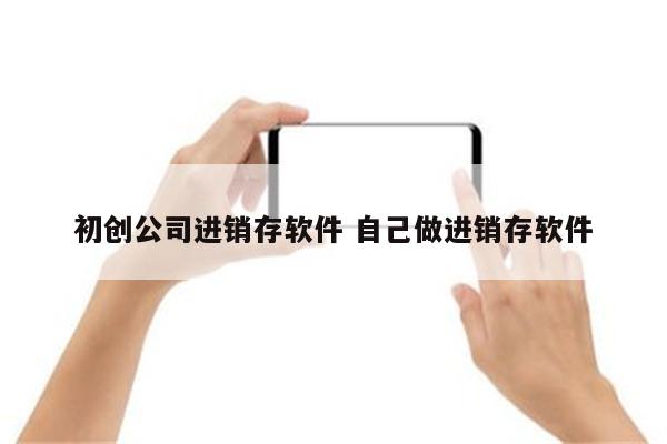 初创公司进销存软件 自己做进销存软件