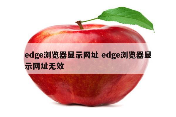 edge浏览器显示网址 edge浏览器显示网址无效