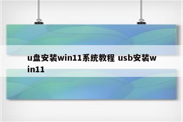 u盘安装win11系统教程 usb安装win11