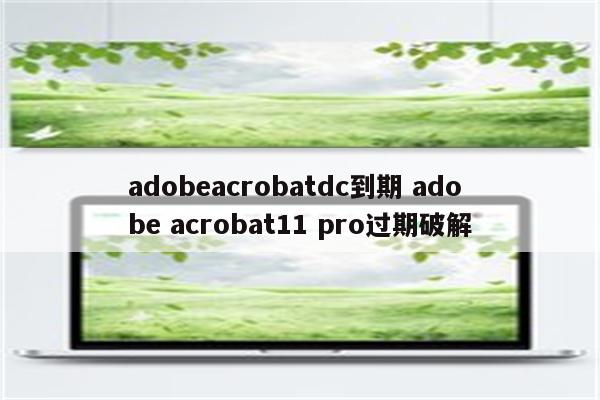 adobeacrobatdc到期 adobe acrobat11 pro过期破解