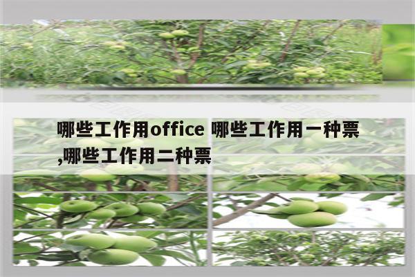 哪些工作用office 哪些工作用一种票,哪些工作用二种票