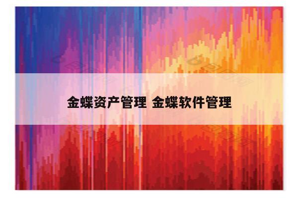 金蝶资产管理 金蝶软件管理