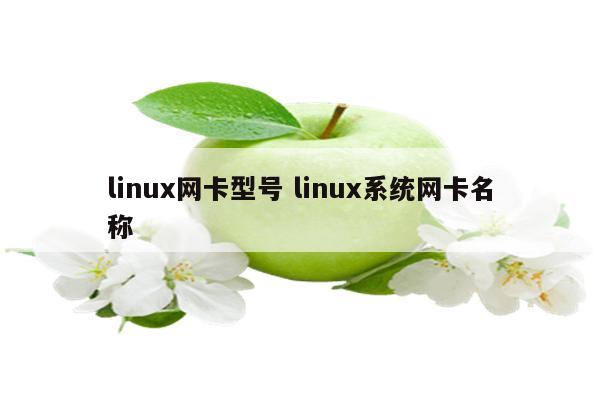 linux网卡型号 linux系统网卡名称