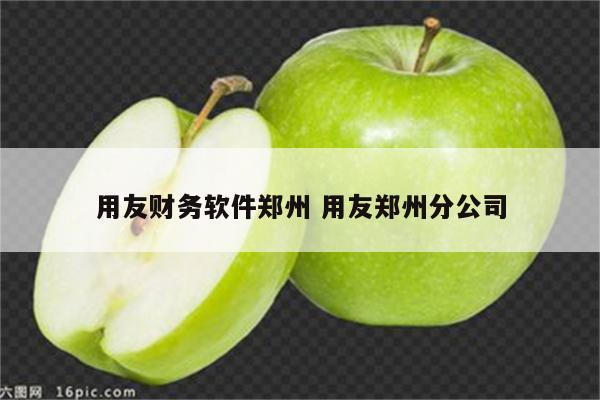 用友财务软件郑州 用友郑州分公司
