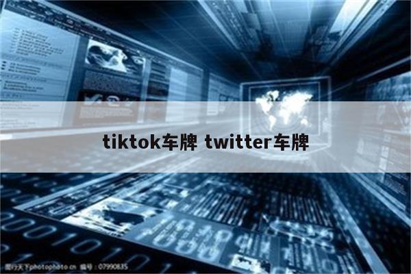 tiktok车牌 twitter车牌