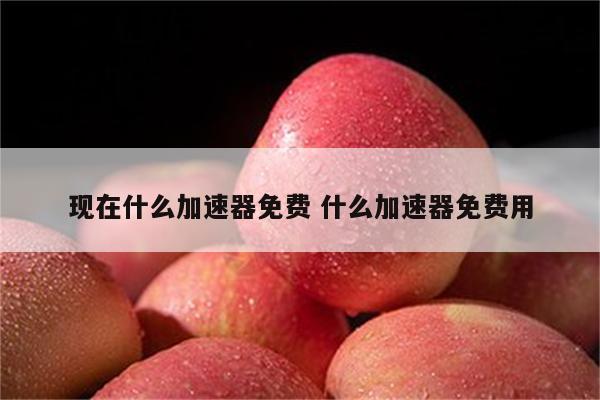 现在什么加速器免费 什么加速器免费用