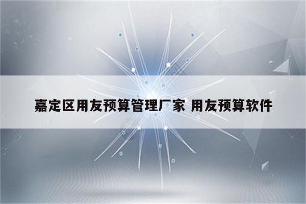 嘉定区用友预算管理厂家 用友预算软件