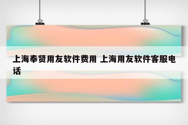 上海奉贤用友软件费用 上海用友软件客服电话