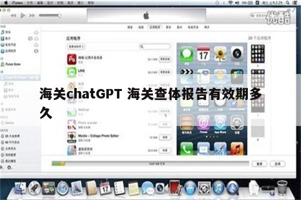 海关chatGPT 海关查体报告有效期多久