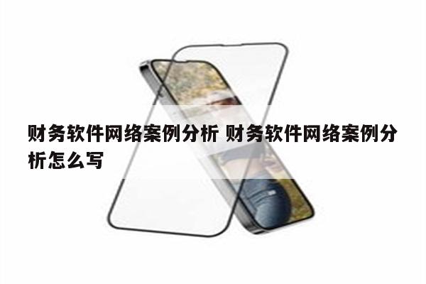 财务软件网络案例分析 财务软件网络案例分析怎么写