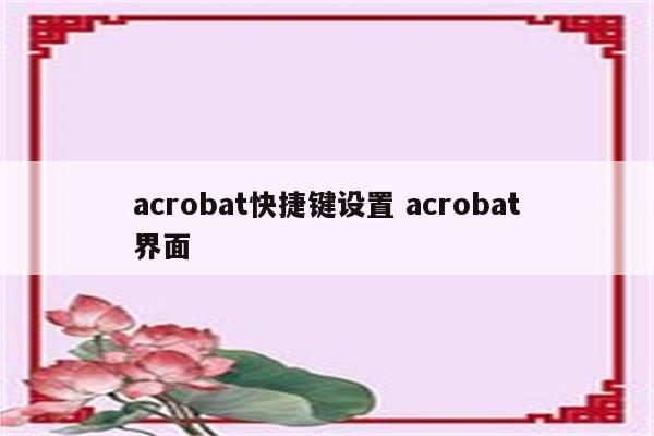 acrobat快捷键设置 acrobat界面