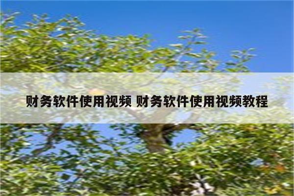 财务软件使用视频 财务软件使用视频教程