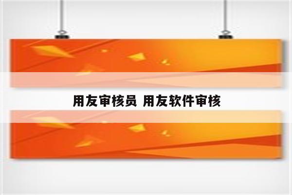用友审核员 用友软件审核