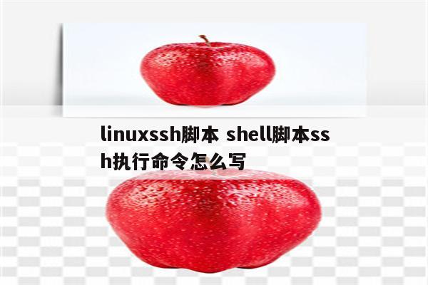 linuxssh脚本 shell脚本ssh执行命令怎么写