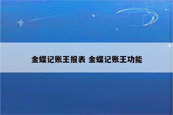金蝶记账王报表 金蝶记账王功能