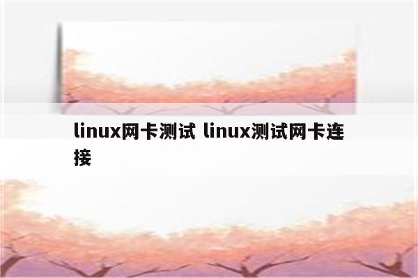 linux网卡测试 linux测试网卡连接