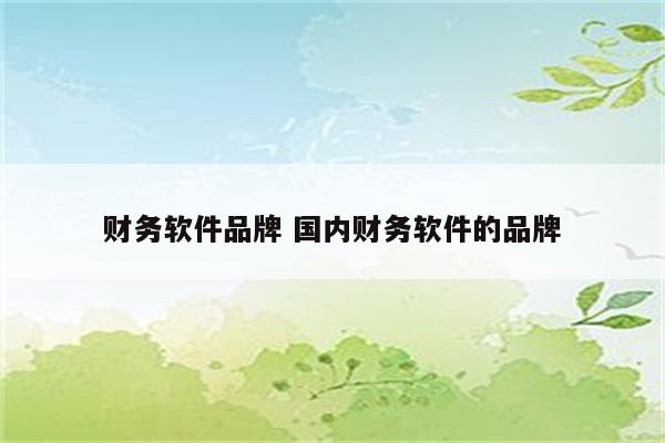 财务软件品牌 国内财务软件的品牌