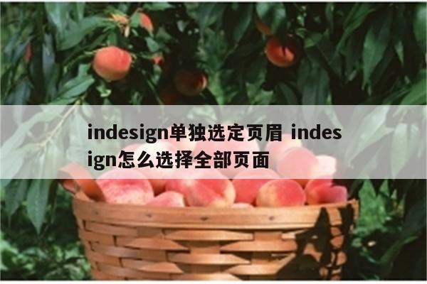 indesign单独选定页眉 indesign怎么选择全部页面