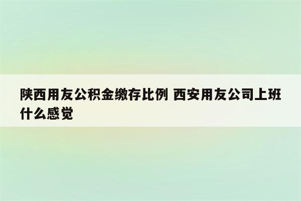 陕西用友公积金缴存比例 西安用友公司上班什么感觉