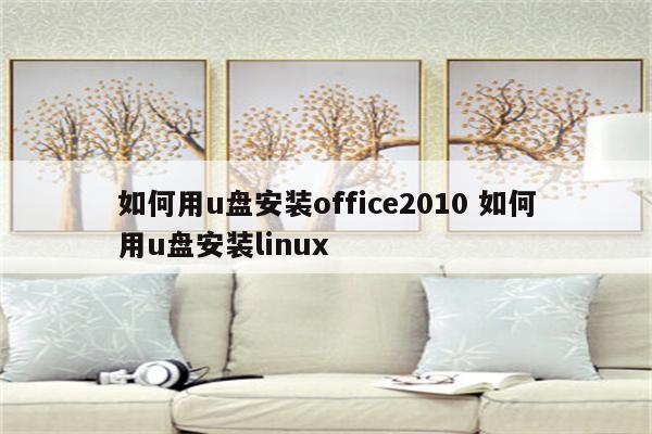 如何用u盘安装office2010 如何用u盘安装linux