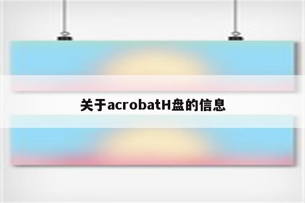 关于acrobatH盘的信息