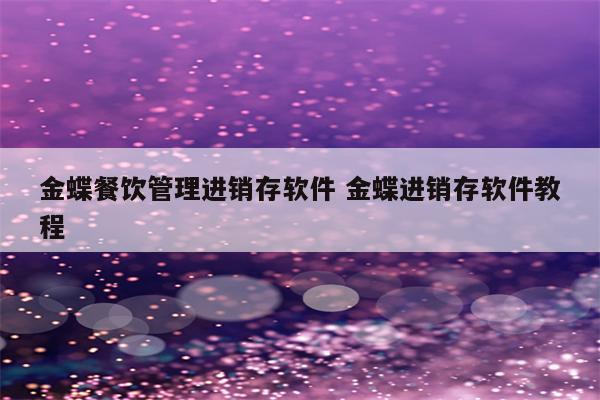 金蝶餐饮管理进销存软件 金蝶进销存软件教程