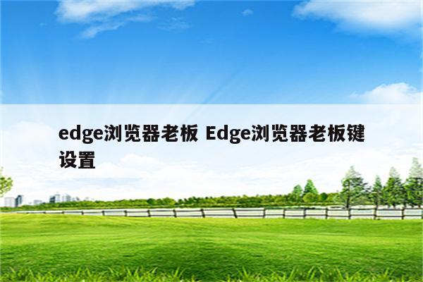 edge浏览器老板 Edge浏览器老板键设置