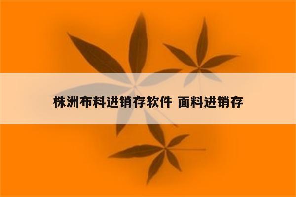 株洲布料进销存软件 面料进销存