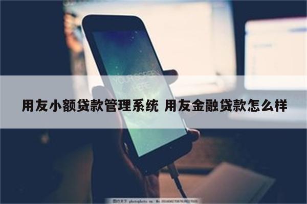 用友小额贷款管理系统 用友金融贷款怎么样