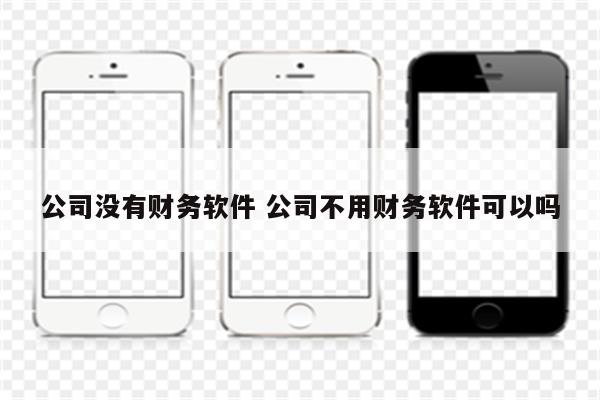 公司没有财务软件 公司不用财务软件可以吗