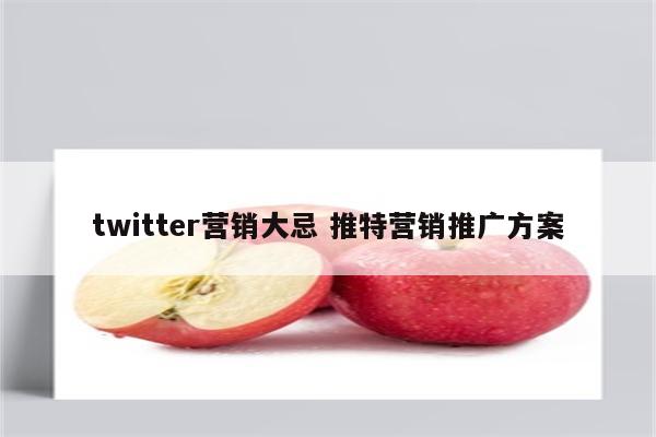 twitter营销大忌 推特营销推广方案