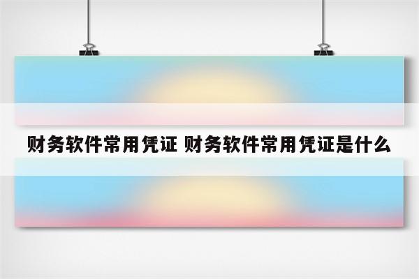 财务软件常用凭证 财务软件常用凭证是什么