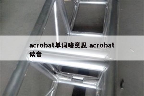 acrobat单词啥意思 acrobat读音