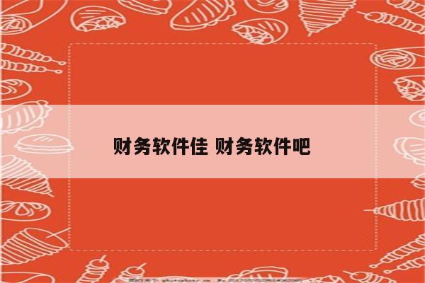 财务软件佳 财务软件吧