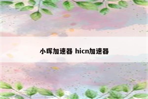 小晖加速器 hicn加速器
