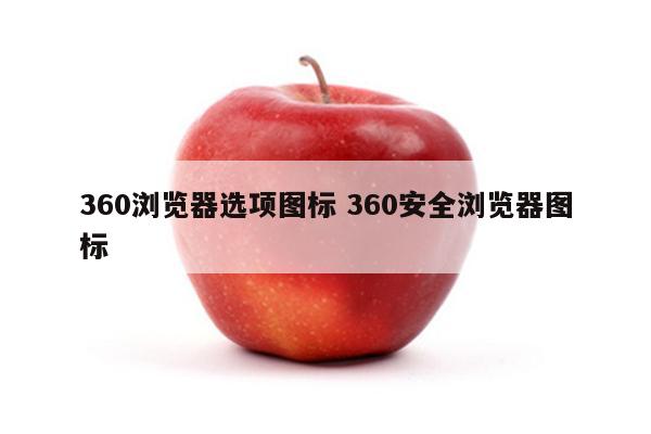 360浏览器选项图标 360安全浏览器图标