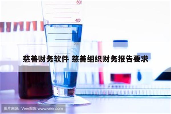 慈善财务软件 慈善组织财务报告要求
