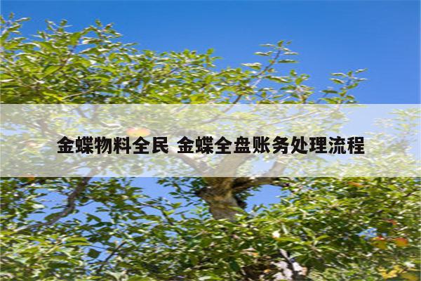 金蝶物料全民 金蝶全盘账务处理流程