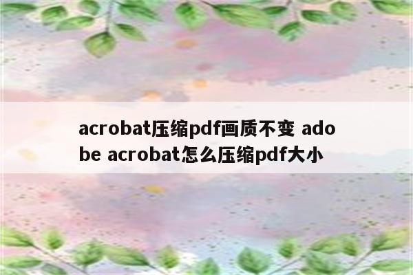 acrobat压缩pdf画质不变 adobe acrobat怎么压缩pdf大小