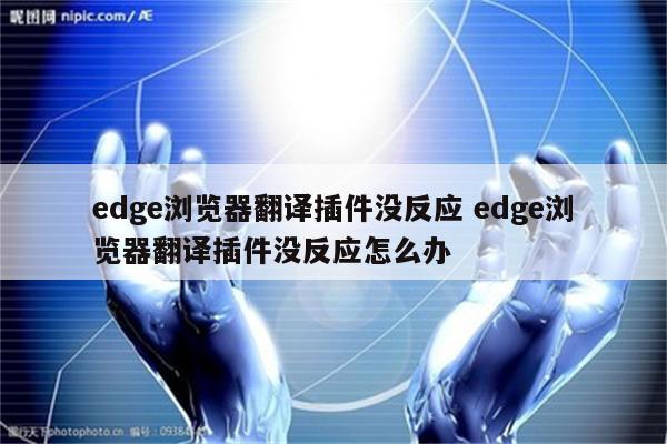 edge浏览器翻译插件没反应 edge浏览器翻译插件没反应怎么办