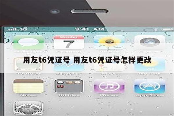 用友t6凭证号 用友t6凭证号怎样更改