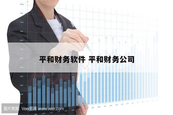 平和财务软件 平和财务公司