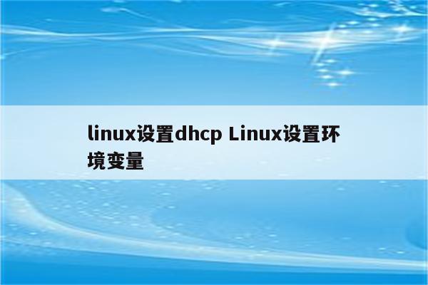linux设置dhcp Linux设置环境变量