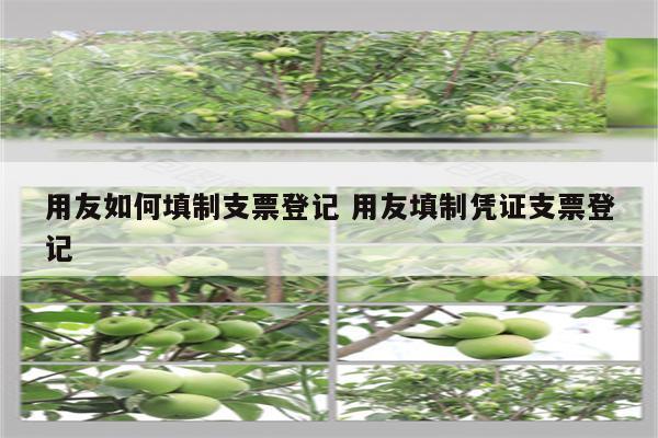 用友如何填制支票登记 用友填制凭证支票登记