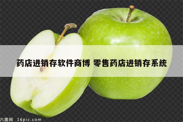 药店进销存软件商博 零售药店进销存系统