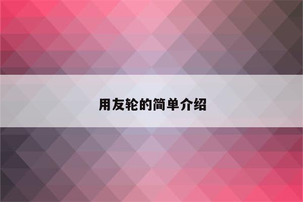 用友轮的简单介绍