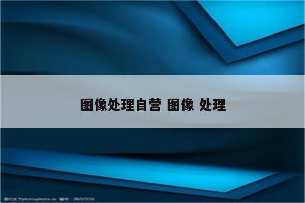 图像处理自营 图像 处理